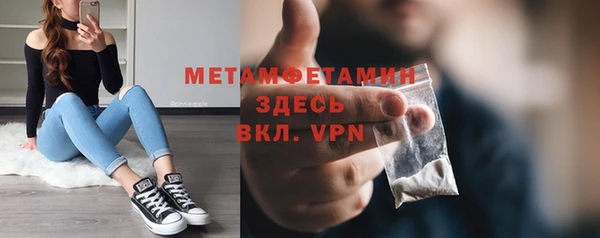 крисы Дубна