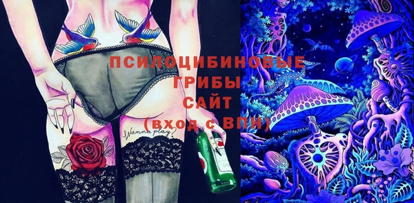 метамфетамин Гусев