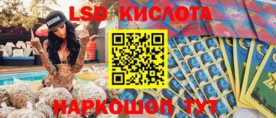 стаф Краснодар