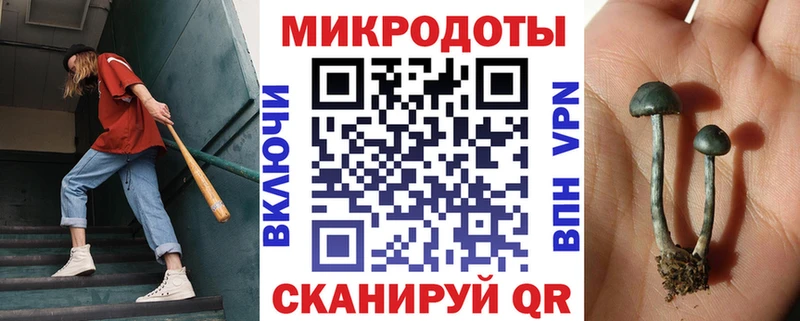 Псилоцибиновые грибы Cubensis Дубна