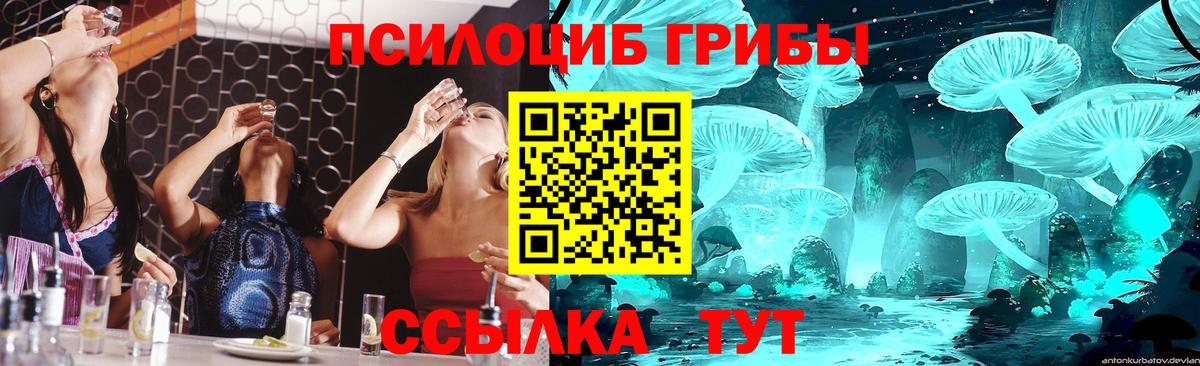 купить наркоту  Псилоцибиновые грибы прущие грибы  Вход с VPN  Дубна 